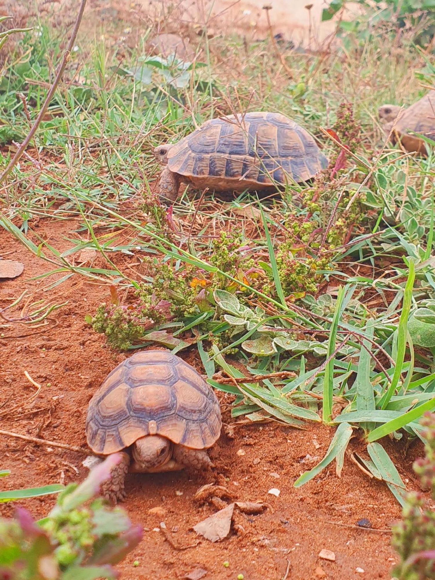 L'Experience Berbere Villa Agadir Bagian luar foto